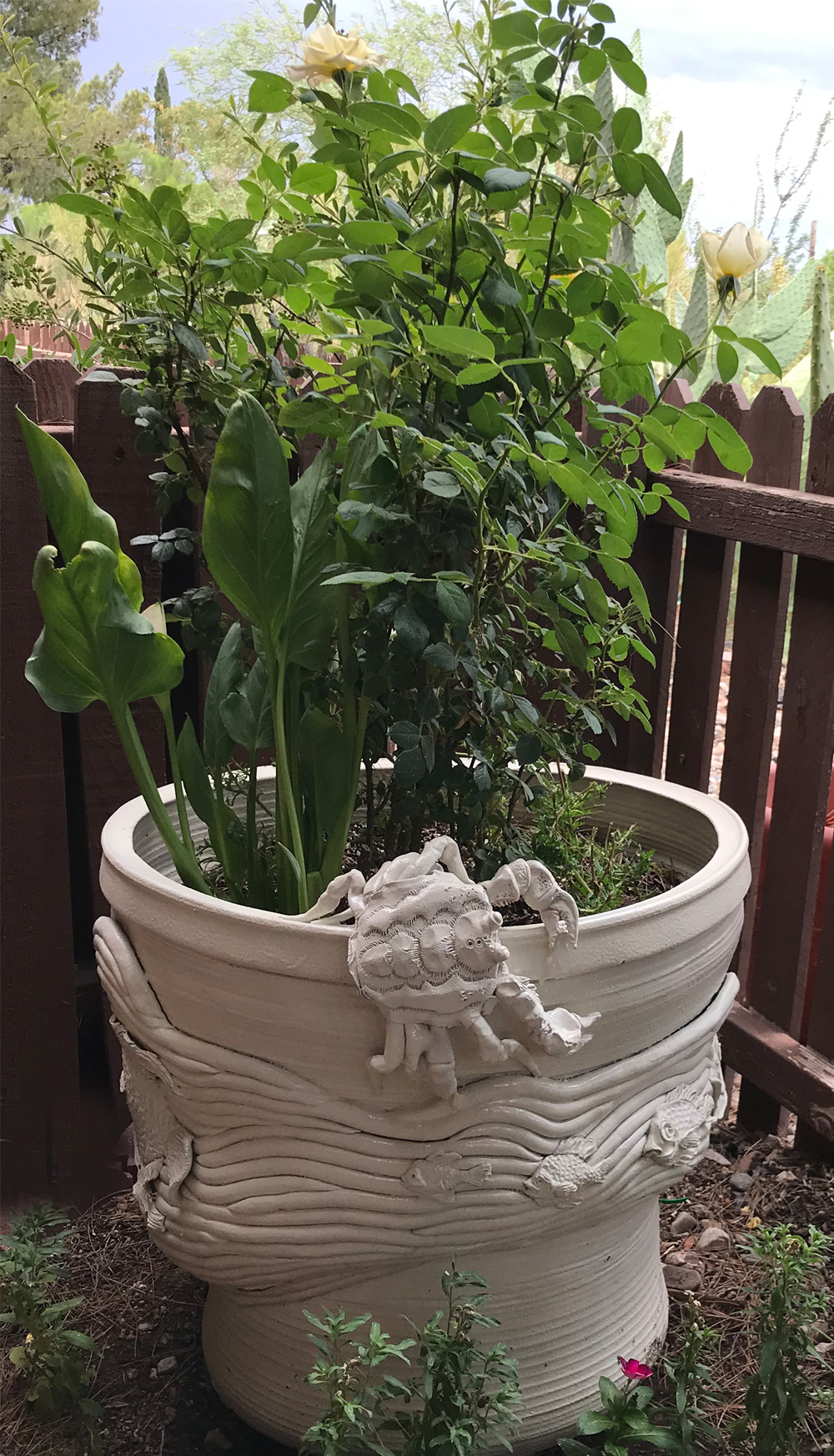 Ceramic  Sea planter